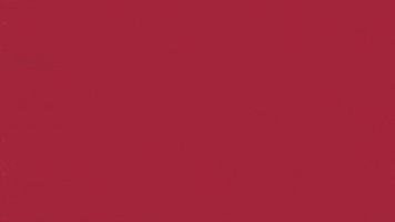 Charroslmb2025 GIF by Charros de Jalisco
