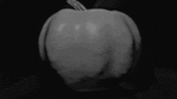 Talks From The Crypt GIF