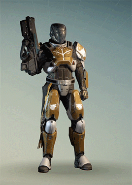 iron banner hunter arms