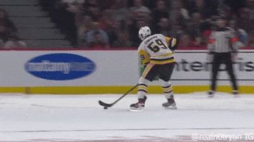 Ice Hockey GIF