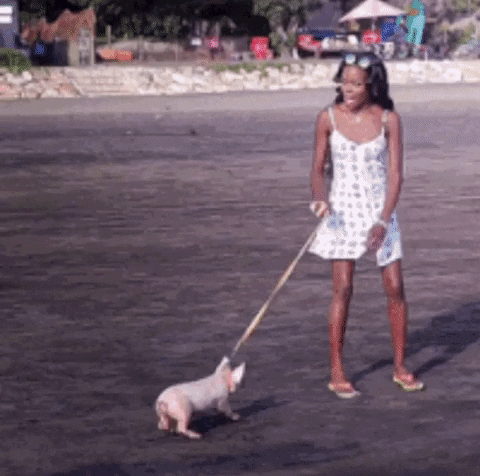 giphy.gif?cid=4d1e4f2900e6329f3c5a29b36d