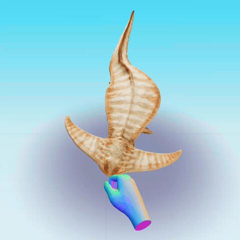 Animated GIF
