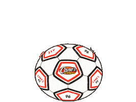 Sticker by Raising Cane's