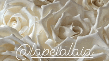 Wedding GIF
