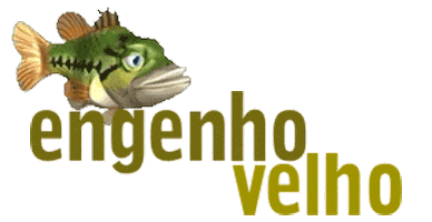 Peixe Sticker by Engenho velho