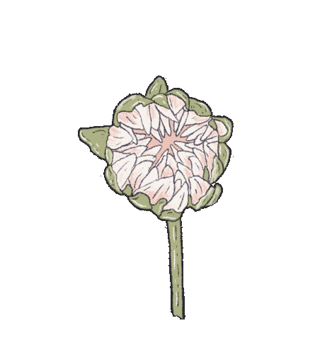 Summer Flower Sticker