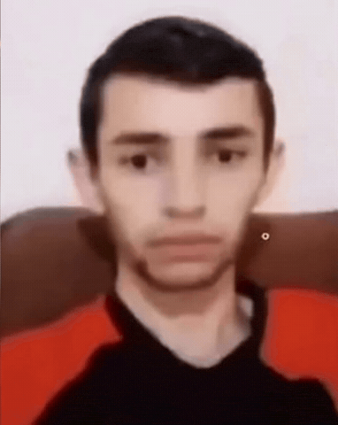 Tortinhalima GIF