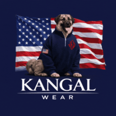 Kangalwear GIF by Gov. of Arstotzka