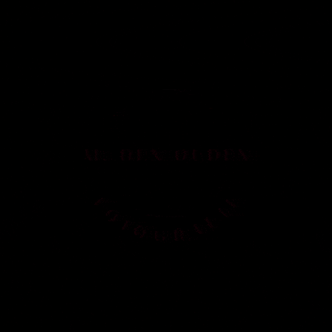 Mdenoudenfotografie GIF