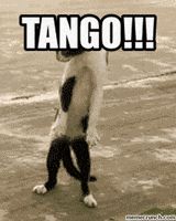 tango GIF