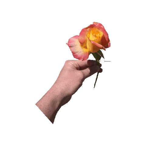 Png Flowers GIF - Png Flowers Animated GIFs
