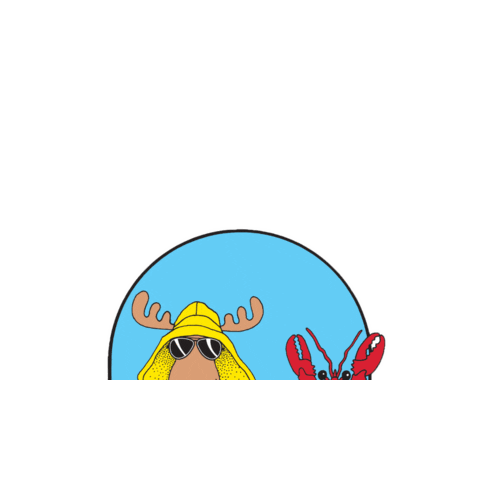 coolasamoose Sticker