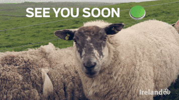 See You Soon Travel GIF by Tourism Ireland
