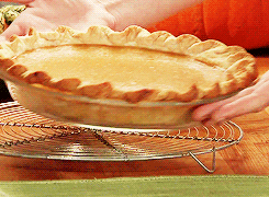 Pumpkin Pie GIF - Find & Share on GIPHY
