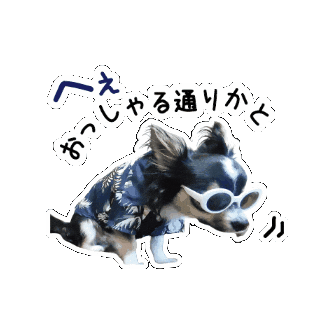 Chihuahua Consent Sticker