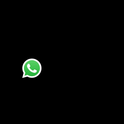 gpsagencia GIF