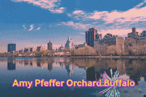 Amy Pfeffer Orchard Buffalo GIF