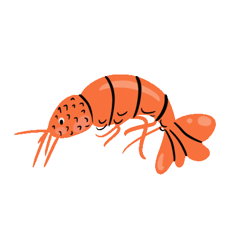 Orange Ocean Sticker