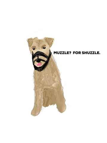 Muzzle Sftd GIF by SchoolForTheDogs