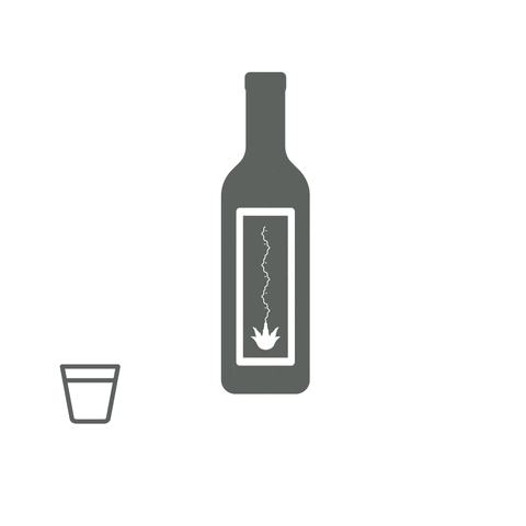 Cheers Copa GIF by salvadores