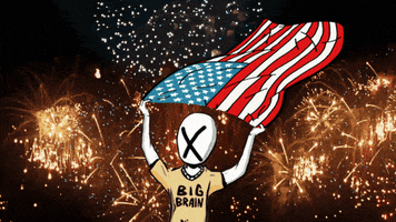 Happy Independence Day GIF by BigBrains