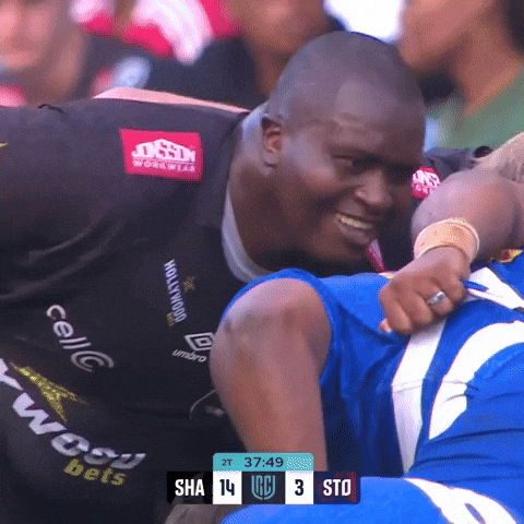 South Africa Springboks GIF by Sharks Rugby