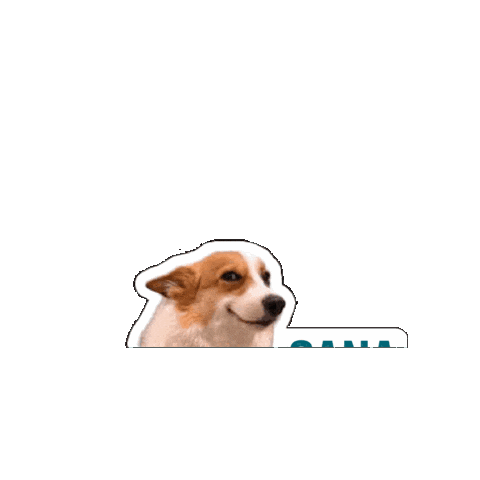 ShipEntegra Sticker