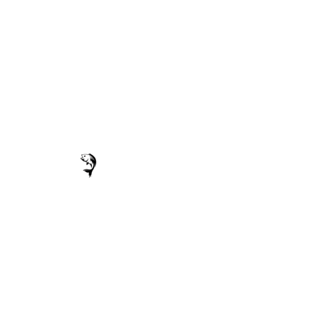 sport-fiske.no Sticker