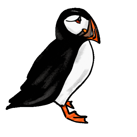Puffin Sticker by girlinwhiteglasses