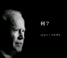 Joe Biden What GIF