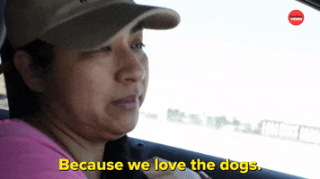 Puppies National Puppy Day GIF by BuzzFeed