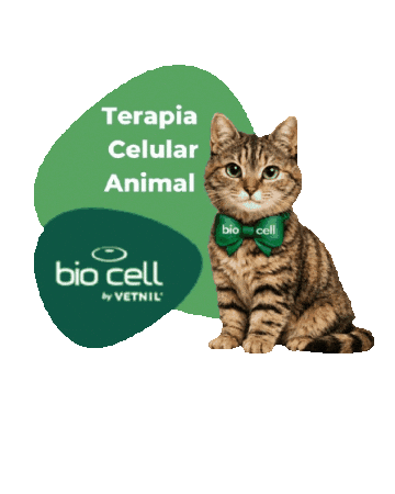 Terapia Celular Sticker by BIO CELL by Vetnil