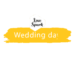 Boda Wedding Day Sticker by SparkVisuals