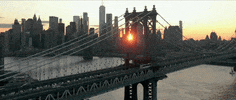 New York City Halloween GIF by Imagine Dragons