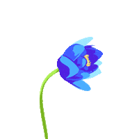200w.gif?cid=ecf05e47dbkffurp3lke0bbbgl1