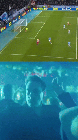 GIF by FK Crvena zvezda