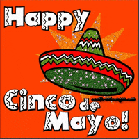 May 5Th Cinco De Mayo GIF