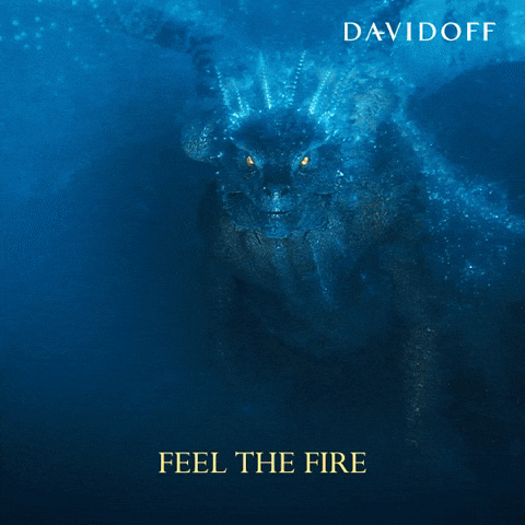 GIF by Davidoff Parfums