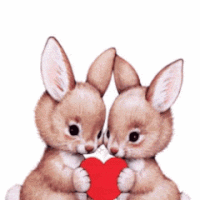 rabbits