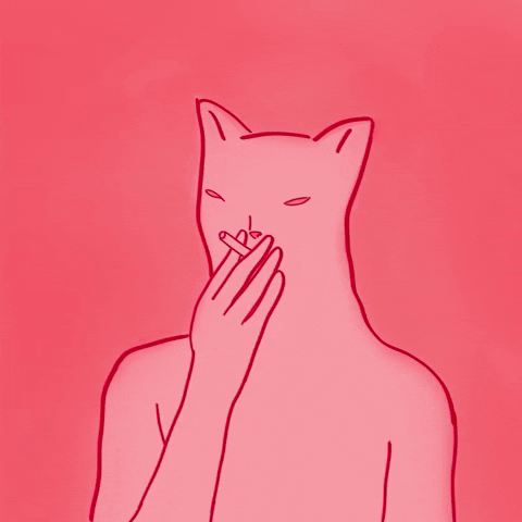 Cats Smoking GIF by Hannah Howard