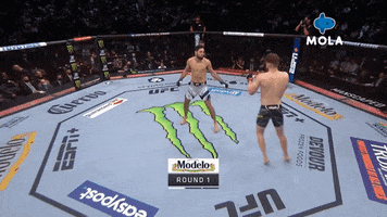 Fight Yes GIF by MolaTV