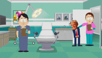 Donald Trump GIF by South Park