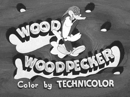 woody woodpecker art GIF by hoppip