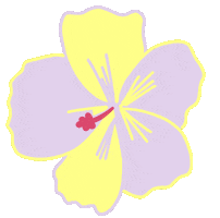 Colibri Redac Sticker