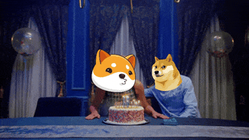 Birthday Money GIF by Baby Doge Coin