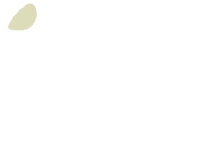 Dunes Real Estate Sticker