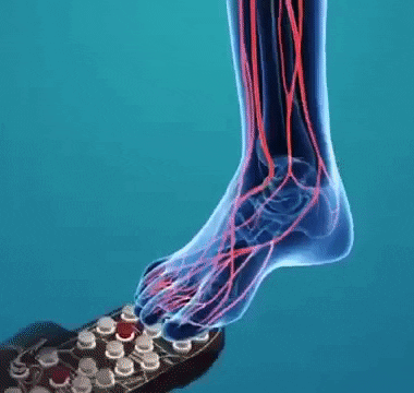 Chinelo de Acupuntura Acupressão Reflexologia
