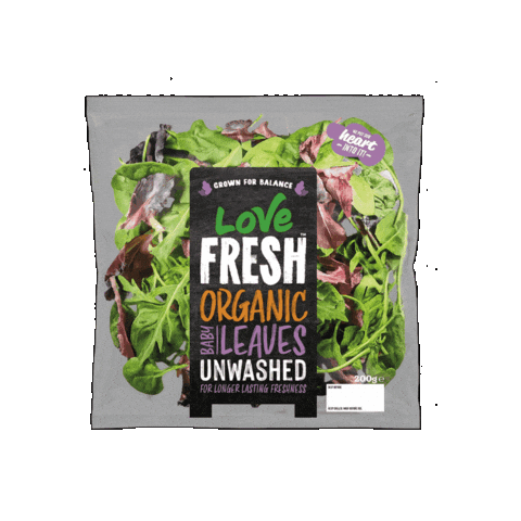Foodie Salad Sticker by G's Fresh