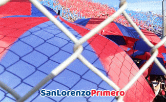 Ciclon Casla GIF by San Lorenzo Primero
