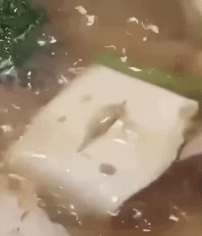 Tofu GIF